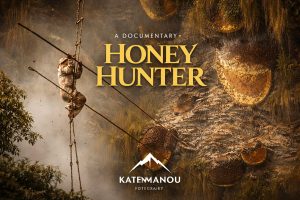 Honey Hunting for “France TV”