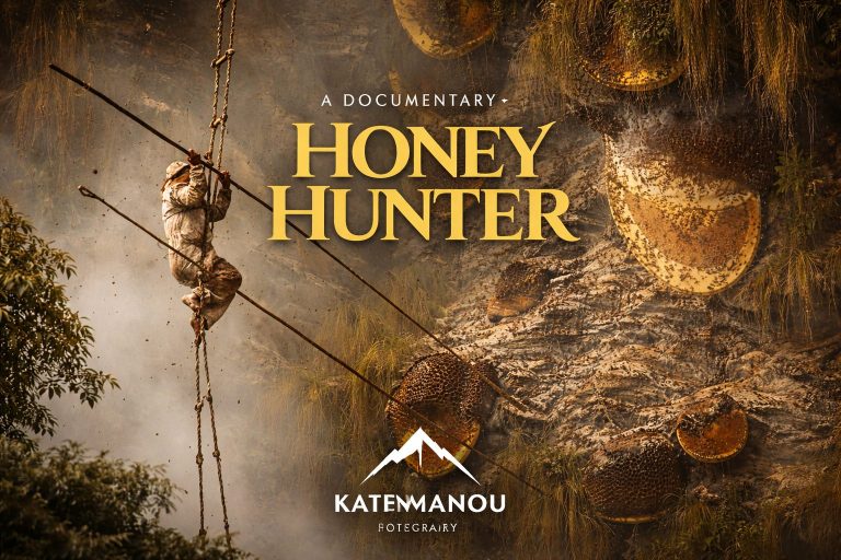 Honey Hunting for “France TV”