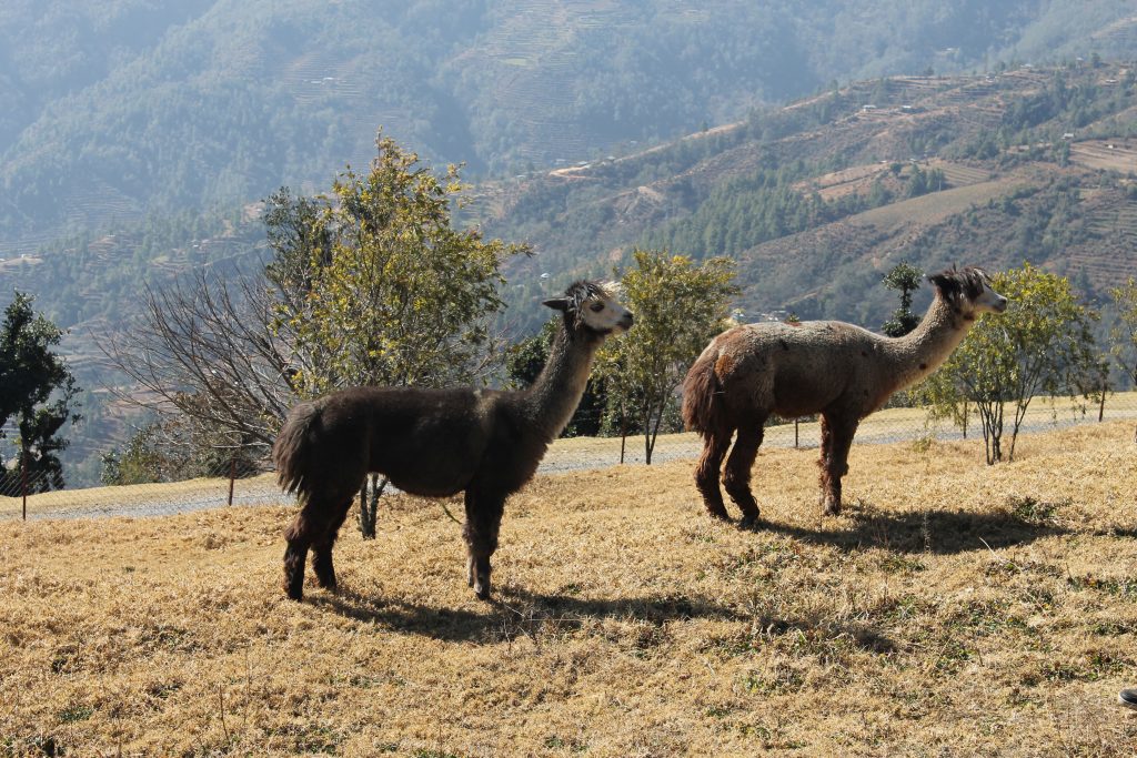 Challenges for Film Production in Nepal