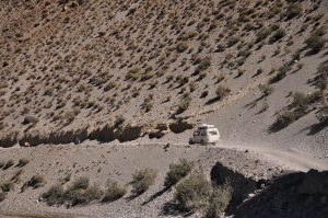 from Recee to mustang