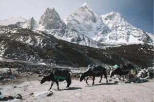 film location in Everest