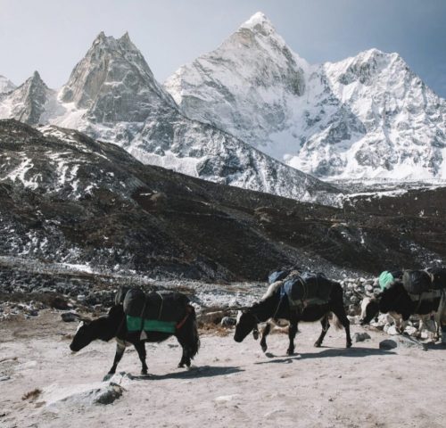 film location in Everest