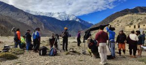 line producer in Mustang