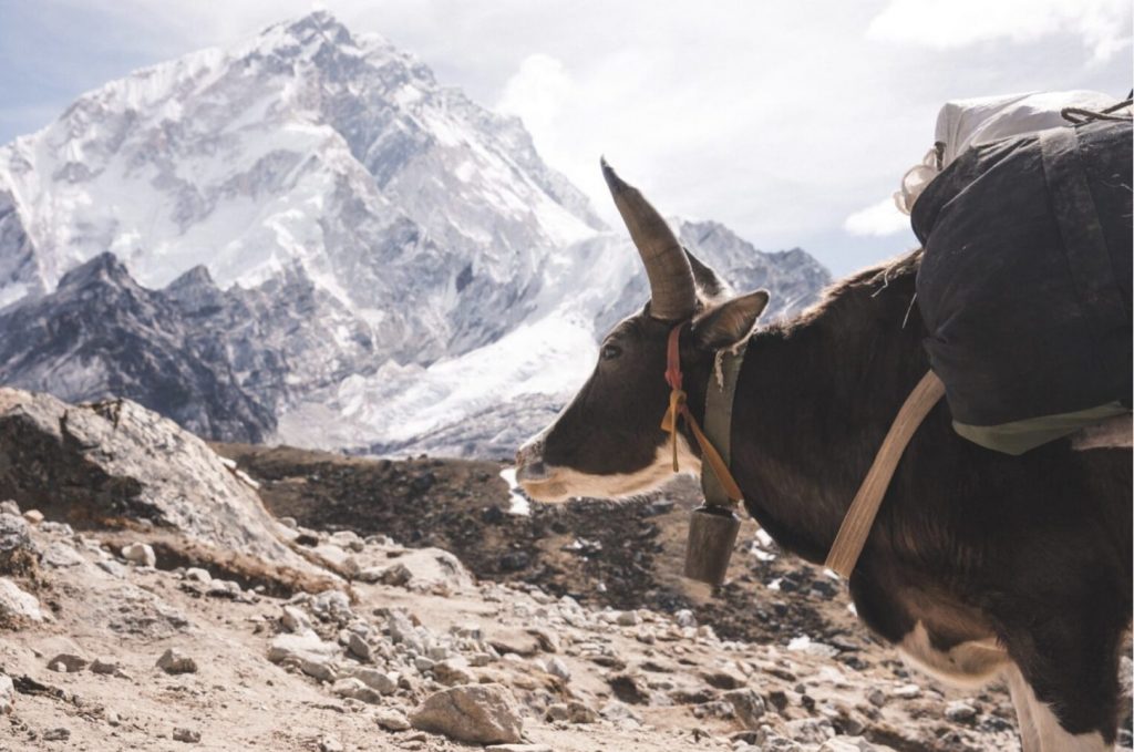 TOP 10 FILMING LOCATION IN NEPAL