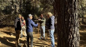 Film permit in nepal