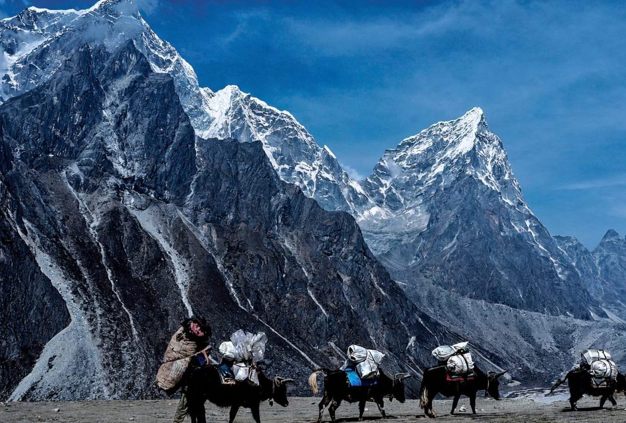 Guide in Everest